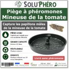 Pièges pour capturer la Mineuse de la tomate, Solu